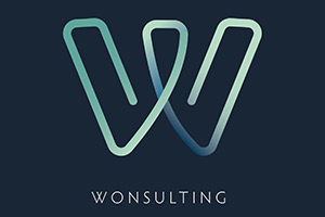 Wonsulting Logo