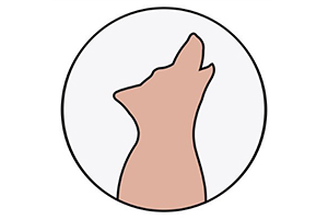 Coyote Ventures Logo